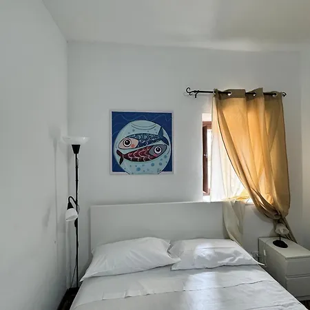 Rocco's House